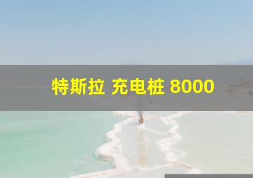 特斯拉 充电桩 8000